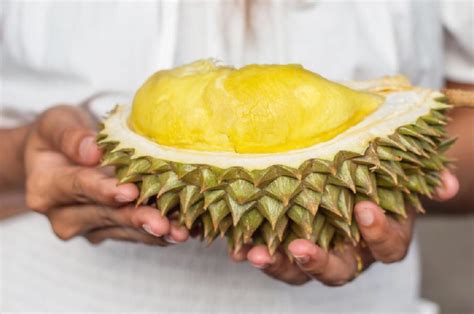Apakah boleh makan durian saat haid  Kondisi ini dikhawatirkan membuat pengidap demam mengalami dehidrasi